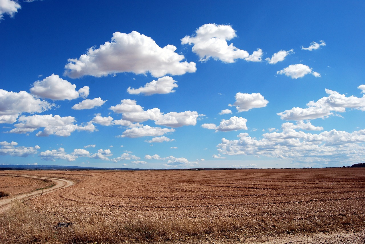 field, nature, land-533541.jpg