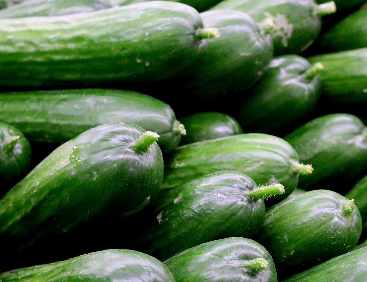 vegetable, healthy, cucumber-3129062.jpg