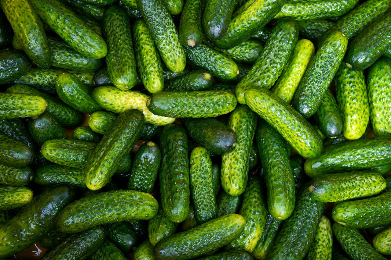 vegetable, healthy, cucumber-3129062.jpg